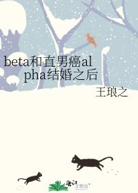 beta和直男癌alpha结婚之后