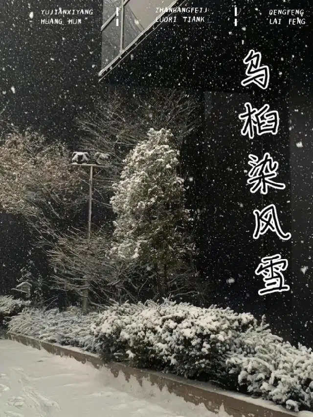 乌桕染风雪